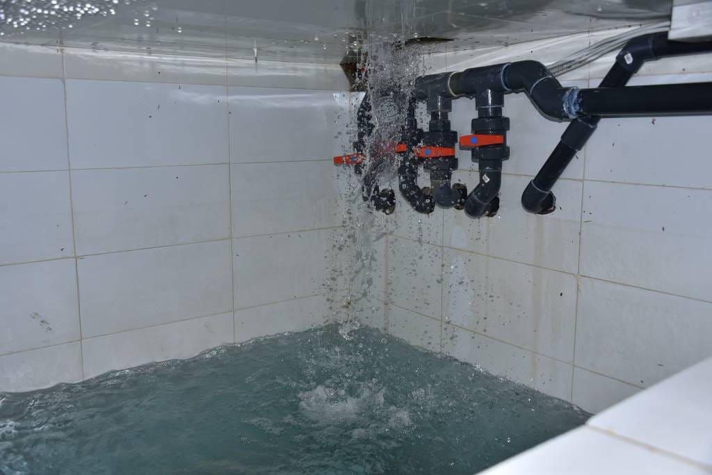 Smile Piscine, expert en Construction Piscine Maroc, offre des services de conception, entretien et rénovation pour des piscines haut de gamme.