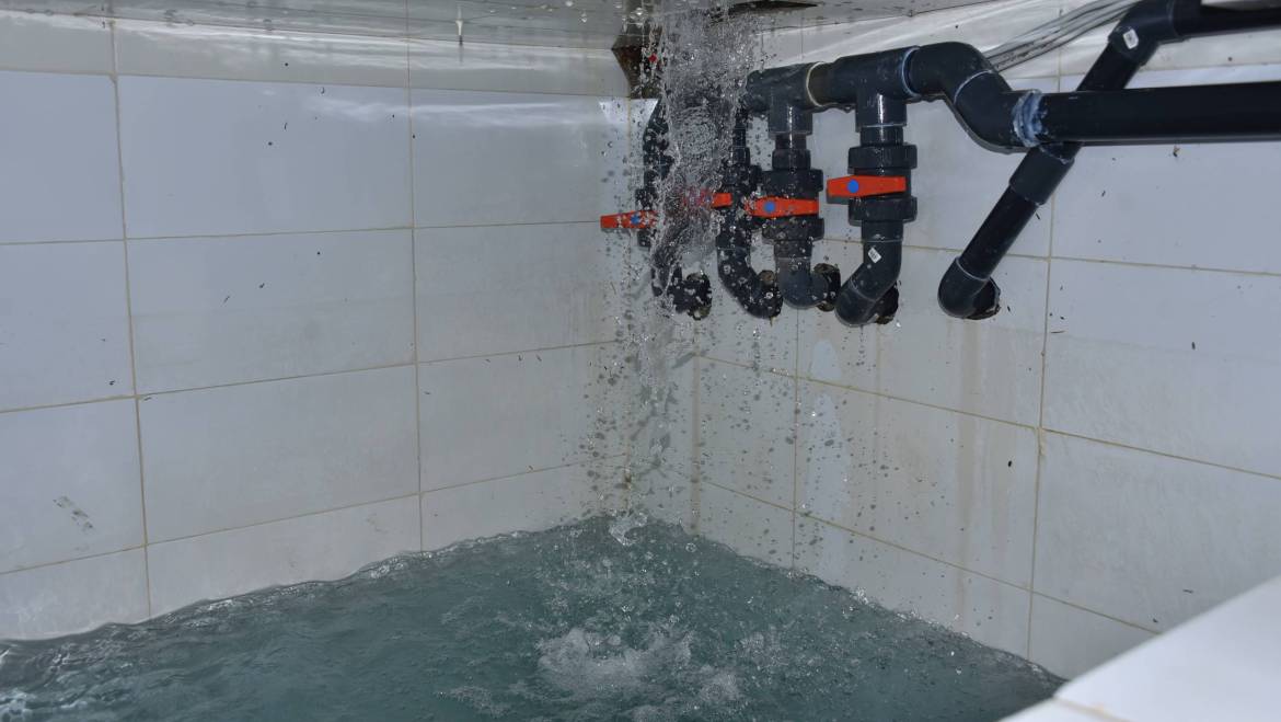 La Taille de Filtre : Construction Piscine Maroc